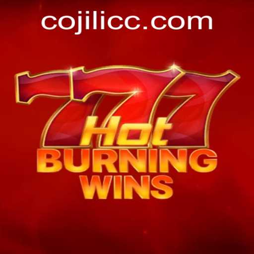 HotBurningWins: A Comprehensive Guide to the Fiery Casino Experience